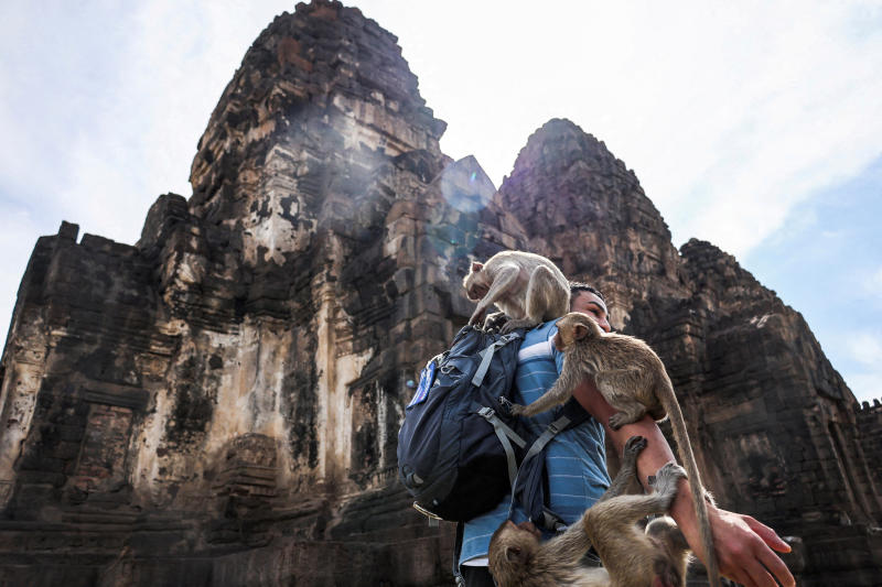 Monkeys climb onto a tourist during the annual Monkey Festival in Lop Buri province. (Photo: Reuters)