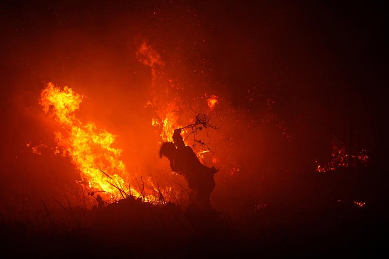 A firefighter uses a tree branch to try and douse the flames amid a wildfire in Palembang, South Sumatra province,&nbsp;Indonesia, on Sept 8, 2026. (Photo: Reuters)