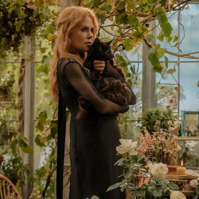 New movies out this week: Sept 11-17