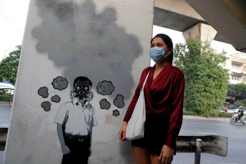 Senate chokes clean air reforms
