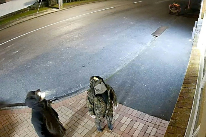 New Zealand agencies missed red flags in child kidnapping case: inquiry - Bangkok Post