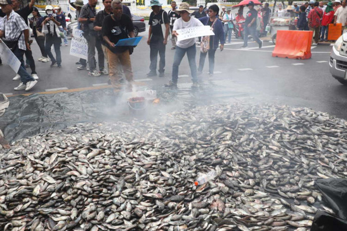 New centre to combat invasive fish - Bangkok Post