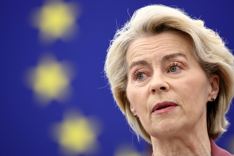 EU chief Ursula von der Leyen has yet to reveal when the bloc will curb children's access to social media.