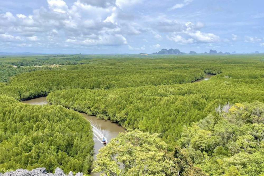 Forest land changes raise concerns