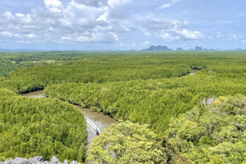 Forest land changes raise concerns