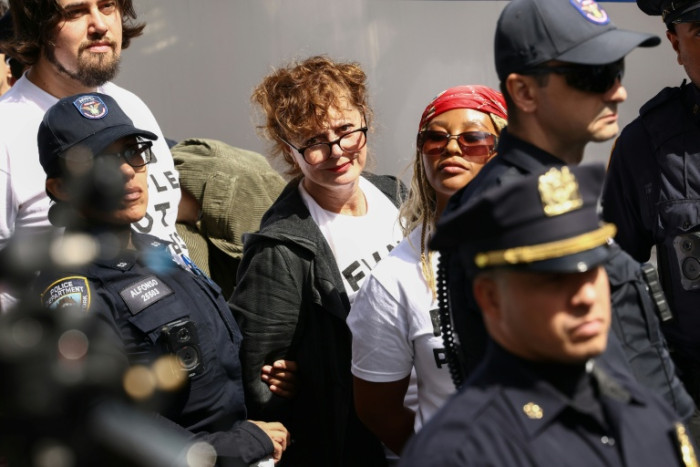 Hollywood stars among arrests in NY anti-Netanyahu protest