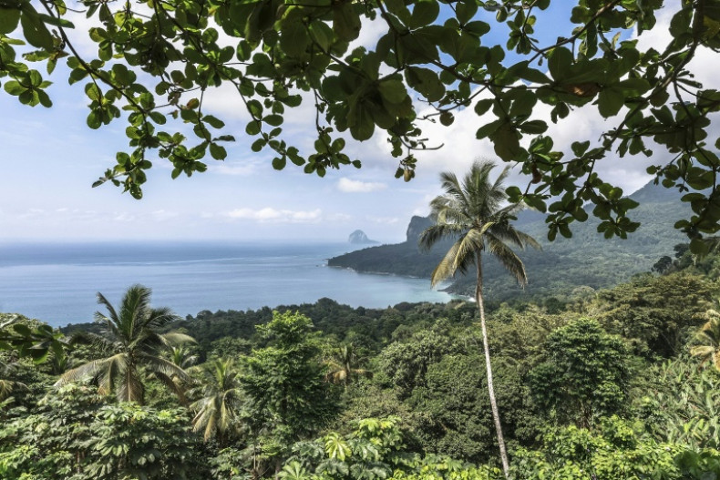 Cash for nature protection: hotelier's offer to Principe islanders