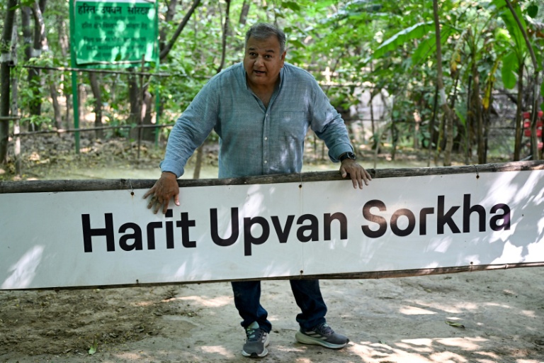Swami Prem Parivartan, better known as "Peepal Baba" or "tree father", and his teams became one of India's largest grassroots planting movements. (Photo: AFP)