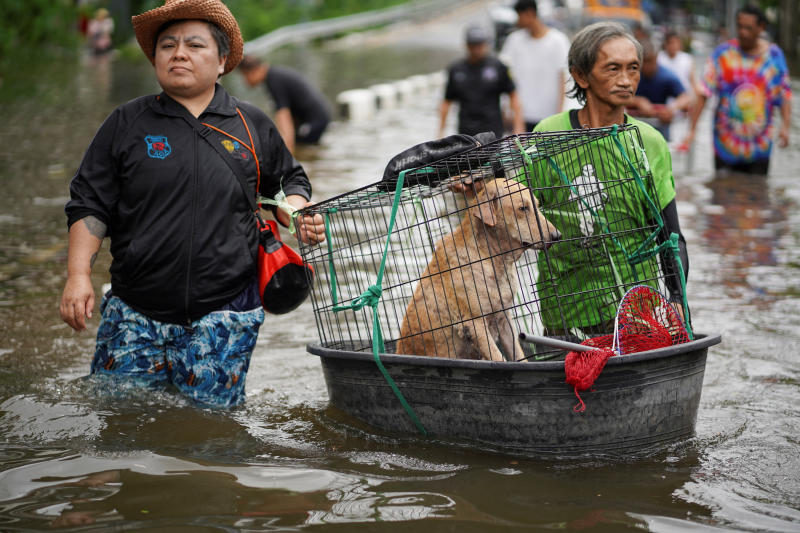 A dog inside a cage sits in a plastic basin as people wade through a flooded area in Bangkok, Thailand, on Sept 28, 2026. (Photo: Reuters)