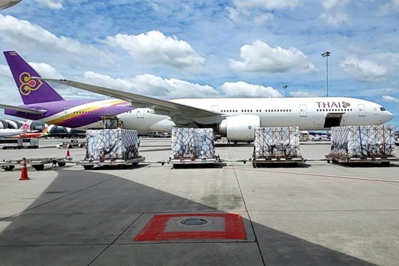 A batch of Sinopharm vaccine from China is unloaded from a Thai Airways International (THAI) aircraft at Suvarnabhumi airport in July 2021. (Photo: Thai Airways International)