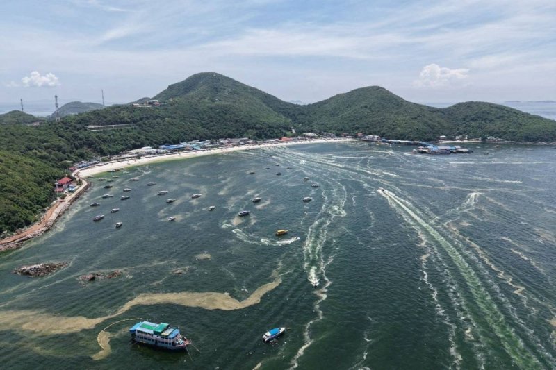 A view of the unusually green sea around Koh Lan in Chon Buri on Wednesday. (Photo: Amporn Saengkaew)