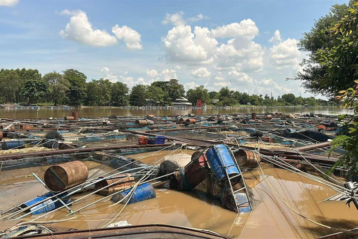 Fish cages damaged by flood