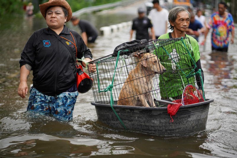A dog in a cage is floated to safety in a plastic basin in a flooded area of Bangkok. (Photo: Reuters)