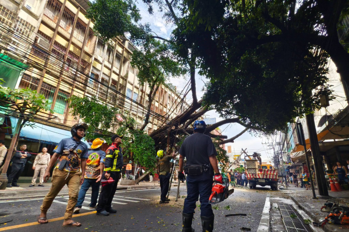 Storm topples tree, poles, blocks road in Sathon - Bangkok Post