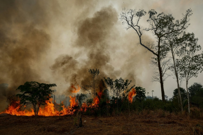 El Nino Watch: the impacts around the world this week