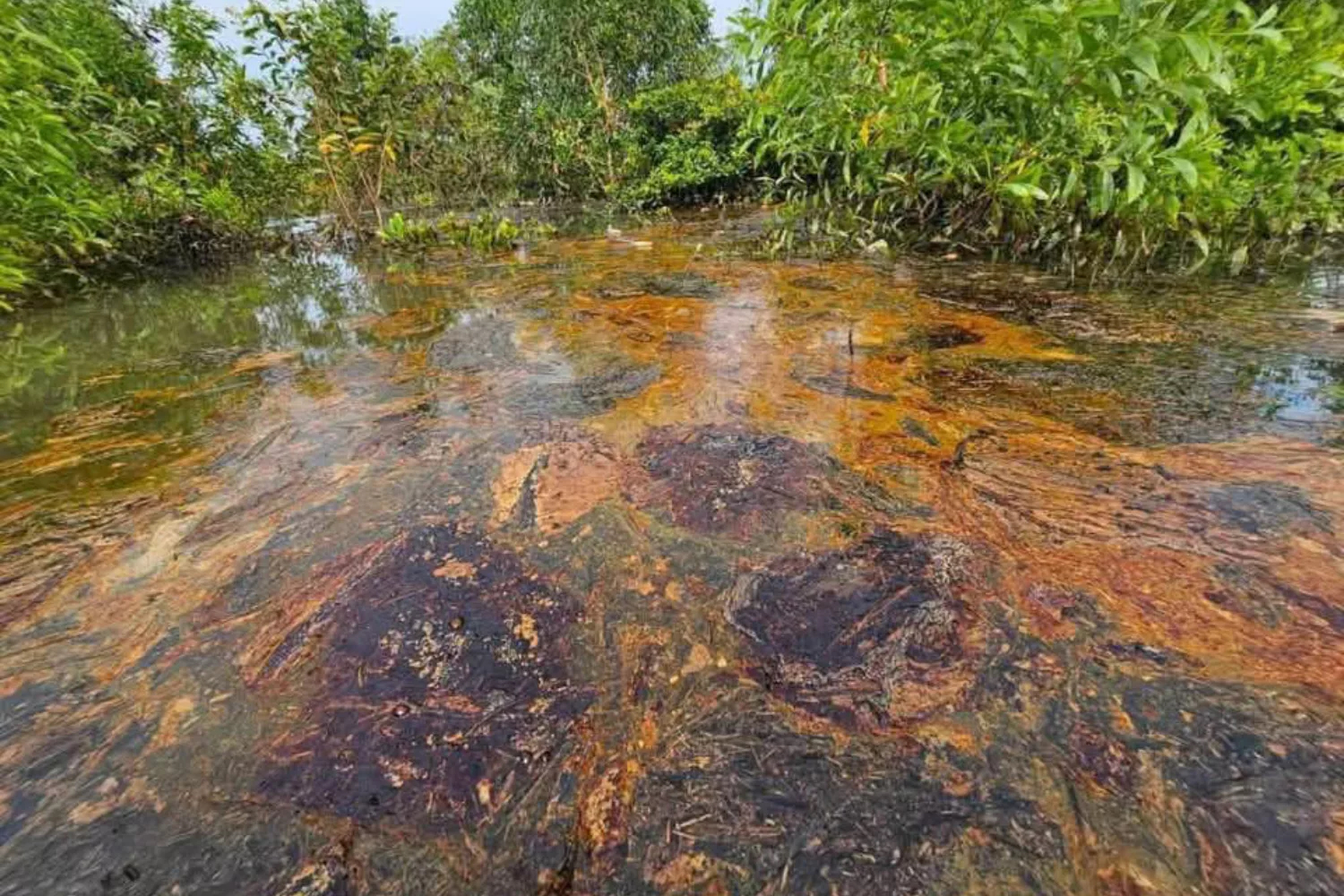A dark brown slick containing suspected toxins sits on the surface of floodwater covering farmland in Prachin Buri province in October. (Photo: Prachin Buri Public Relations Department)