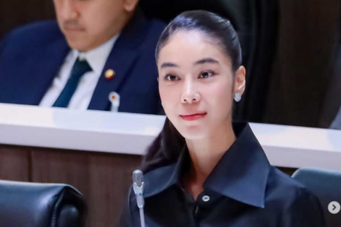 Bangkok Post - Ex-Dem MP queries couple's assets amid controversy