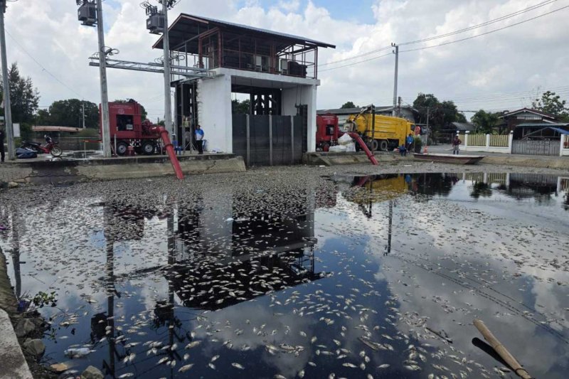 Ecological alert: Khlong Song in Pathum Thani, one of five bodies of water connected to Rangsit canal. The PCD has been told to assess the situation.
