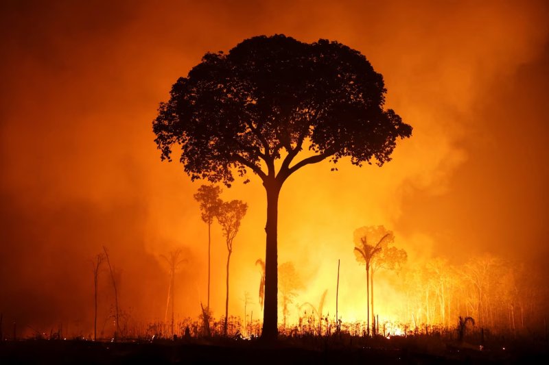 A deforested area of the Amazon rainforest burns during the dry season near Autazes, in the state of Amazonas, Brazil, on Oct 12, 2026. (Photo: Reuters)