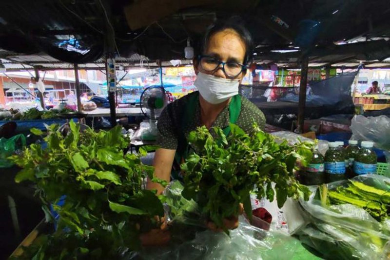 Vegetable vendor Somphon Deedphimai in Nakhon Ratchasima’s Phimai district worries she will not be able to sell holy basil any more if more varieties are patented. Prasit Tangprasert