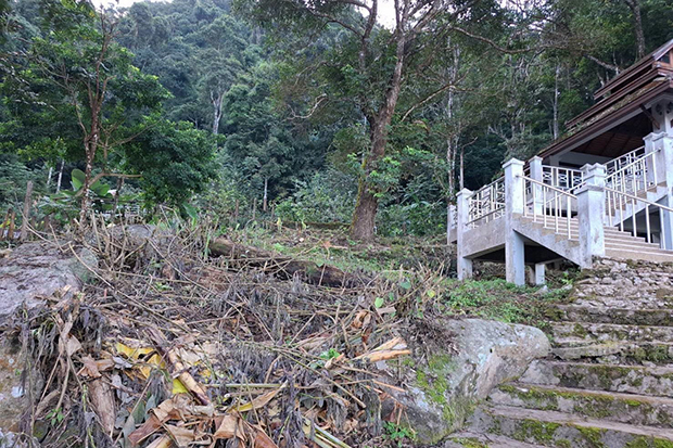 Signs of trees having been cut down at the memorial for the late King Bhumibol Adulyadej at Doi Pui in Muang district of Chiang Mai province. (Photo: National Park, Wildlife and Plant Conservation Department)