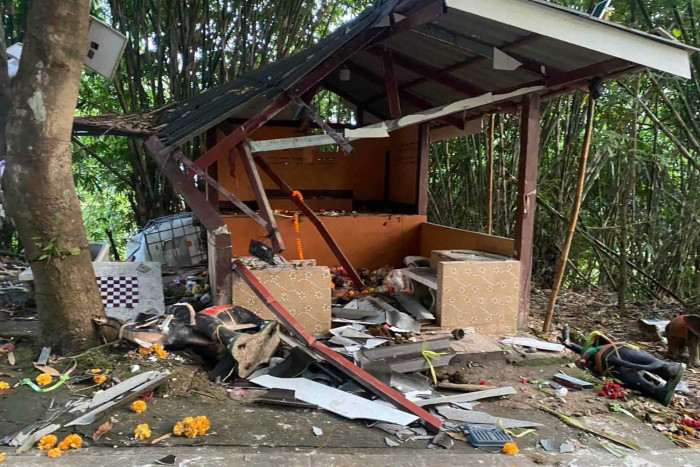 Insurance scheme for elephant damage proposed - Bangkok Post
