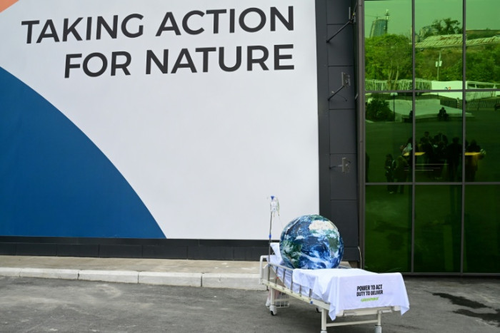 UN nature talks in extra time as nations struggle to reach deal