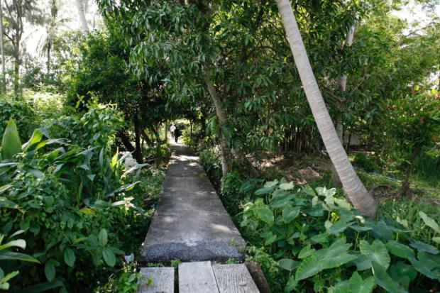There are several traditional Thai-style houses in the community. While walking, watch out for motorcyclists and cyclists because they also use the path. KARNJANA KARNJANATAWE