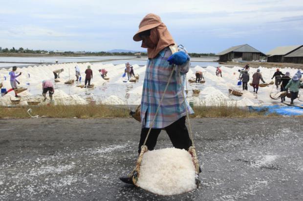 Salt industry prepares for a shake-up