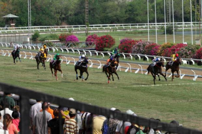 royal sabah turf club