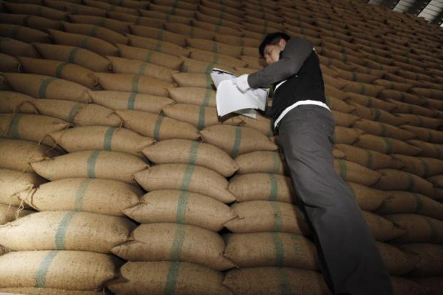 A government official checks the quality of rice stocks at a warehouse in Bangkok's Klong Sam Wa district. PATTANAPONG HIRUNARD