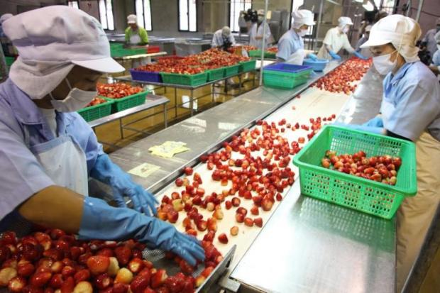 Staff at Doi Kham prepare fruit for processing at the company's plant in Sakon Nakhon province.