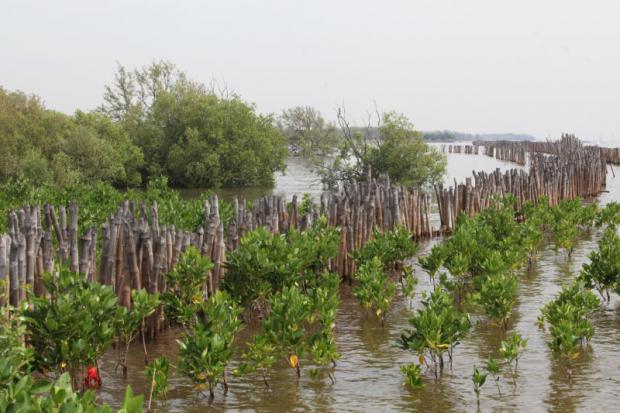 ISLAND OF PRAYER: Coastal erosion has been so severe that Wat Khun Samut Chin is swallowed by the sea. (Photos by Thiti Wannamontha)