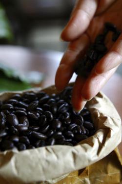 importing coffee beans into australia