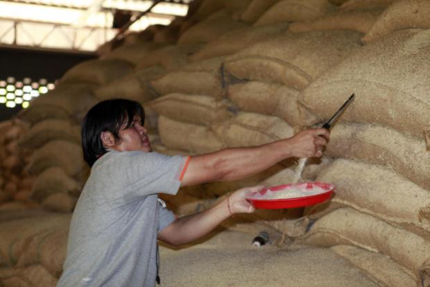 Bidders keen on inedible rice