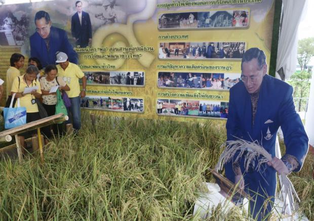 Visitors on the anniversary of his birth observe an exhibition on King Rama IX's works at Sanam Luang. The showcase involves the late King's excellence in nine fields - Thai craftsmanship, water management, technology, artificial rain-making, innovation, Thai heritage conservation, general research, rice research and development and invention. The exhibition runs until Sunday. (Photo by Pattarapong Chatpattarasill) Visitors on the anniversary of his birth observe an exhibition on King Rama IX's works at Sanam Luang. The showcase involves the late King's excellence in nine fields - Thai craftsmanship, water management, technology, artificial rain-making, innovation, Thai heritage conservation, general research, rice research and development and invention. The exhibition runs until Sunday. (Photo by Pattarapong Chatpattarasill)