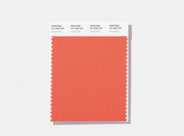 Pantone's colour of the year 2019 is 'Living Coral'