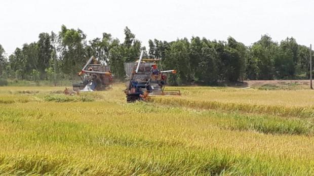 Farms to get B12bn for upgrade