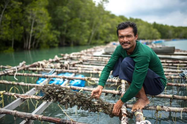 Keeping the  'seafood supermarket'  above water