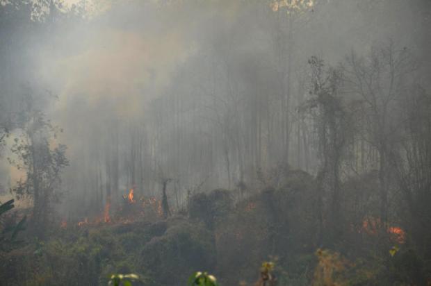 Flights diverted as Chiang Mai haze reaches critical level