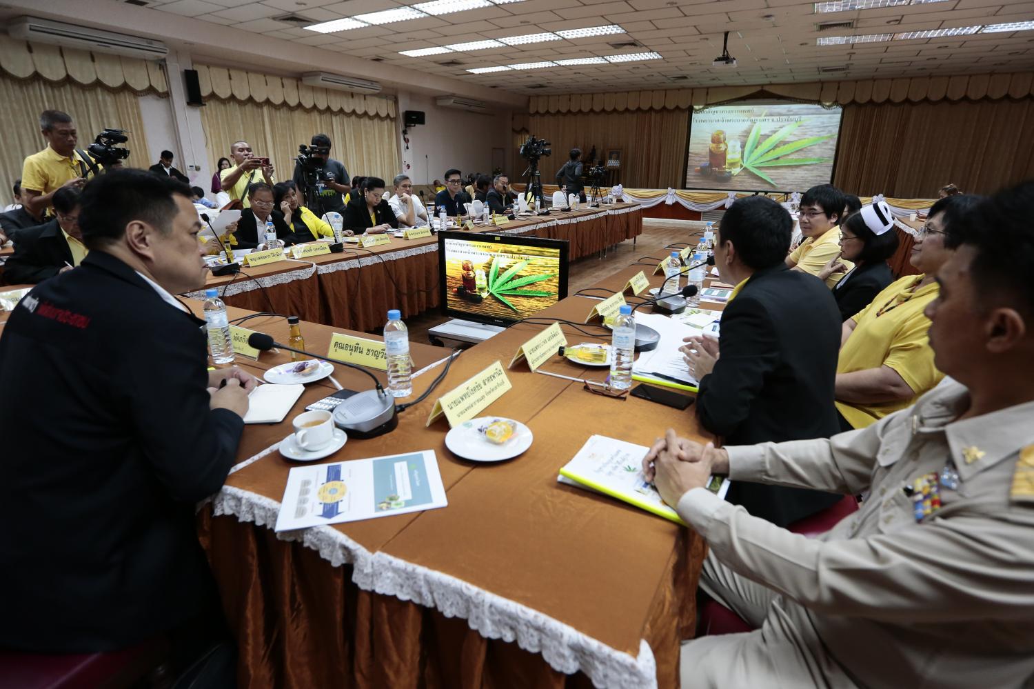 Anutin Charnvirakul, left, leader of the Bhumjaithai Party which is pushing for legal marijuana planting, attends a meeting on its medical uses at Chaopraya Abhaiphubejhr Hospital in Prachin Buri. On Friday, the hospital showed visitors its cannabis plantation and techniques to extract marijuana oil. Patipat Janthong