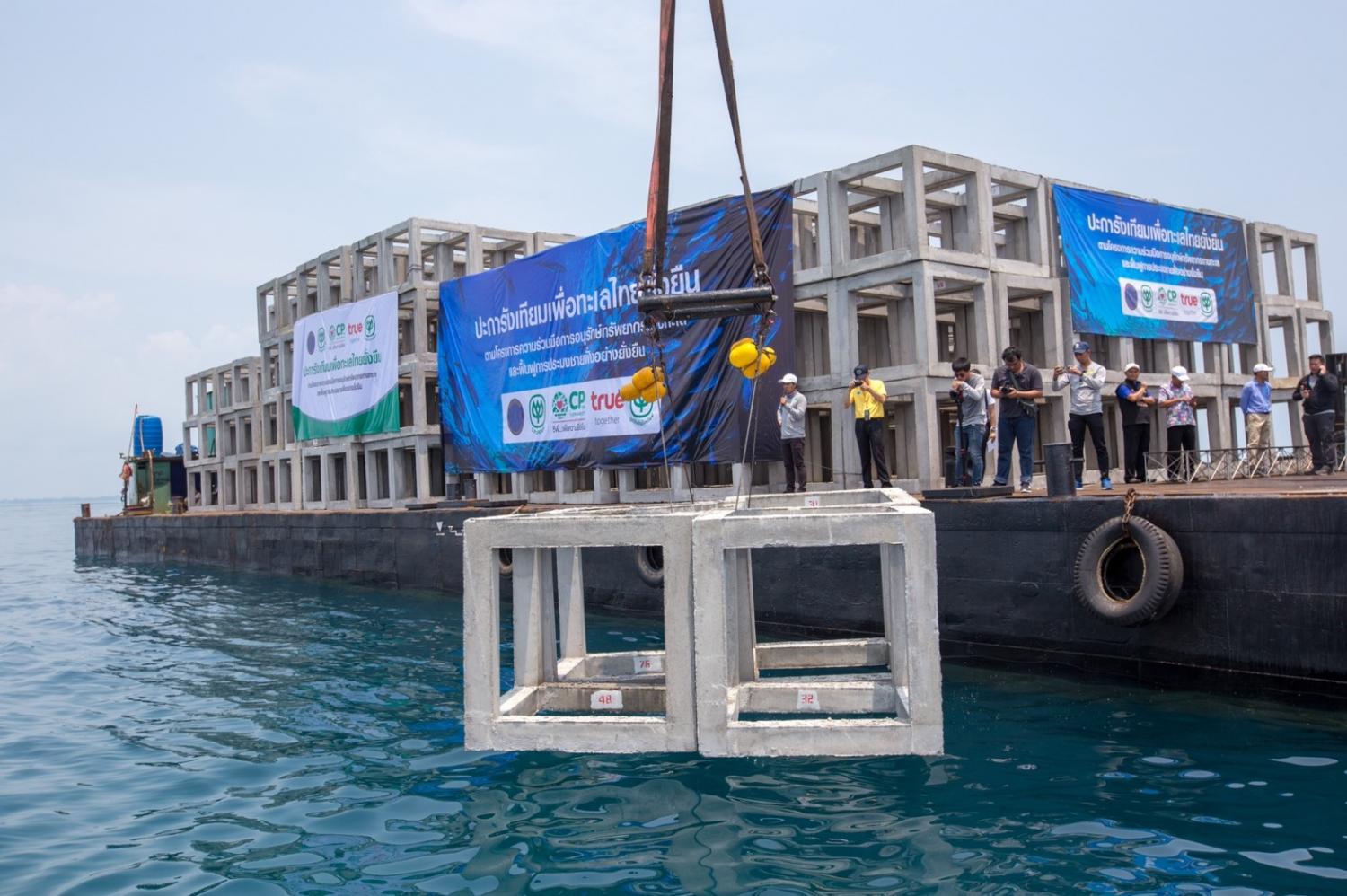 Artificial reefs boost marine life