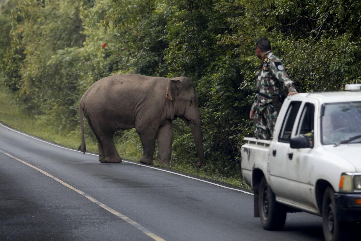 Jumbo pair dodges waterfall death trap