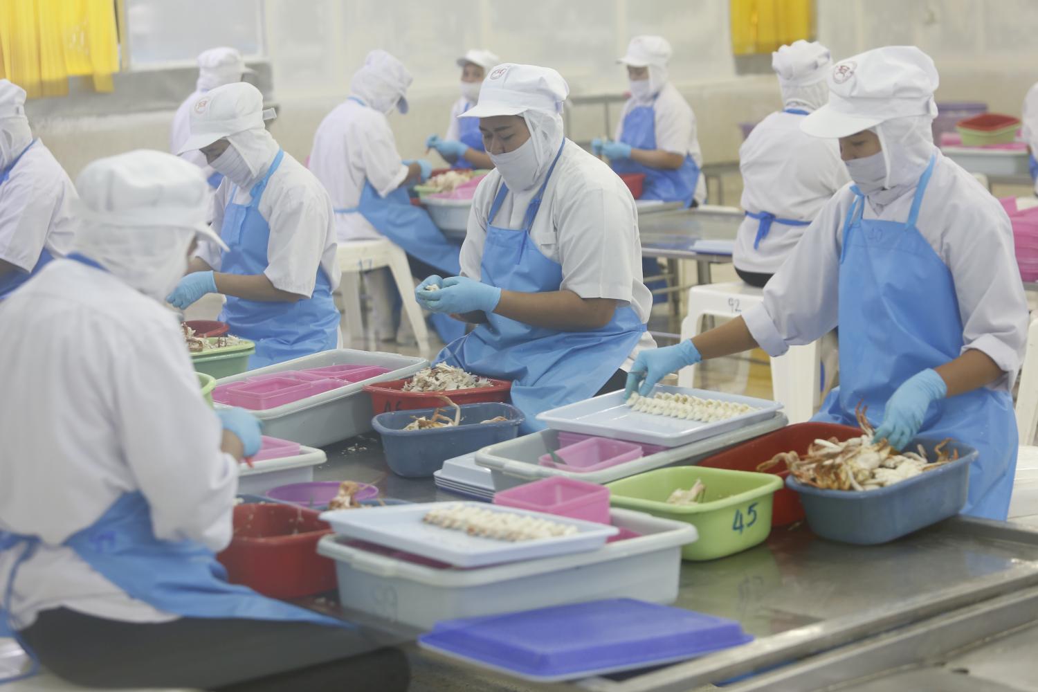 Food factories rely heavily on intensive labour, so the recent wage hike has led many companies to postpone expansion and recruitment. (Photo by Pattarapong Chatpattarasill) Food factories rely heavily on intensive labour, so the recent wage hike has led many companies to postpone expansion and recruitment. (Photo by Pattarapong Chatpattarasill)