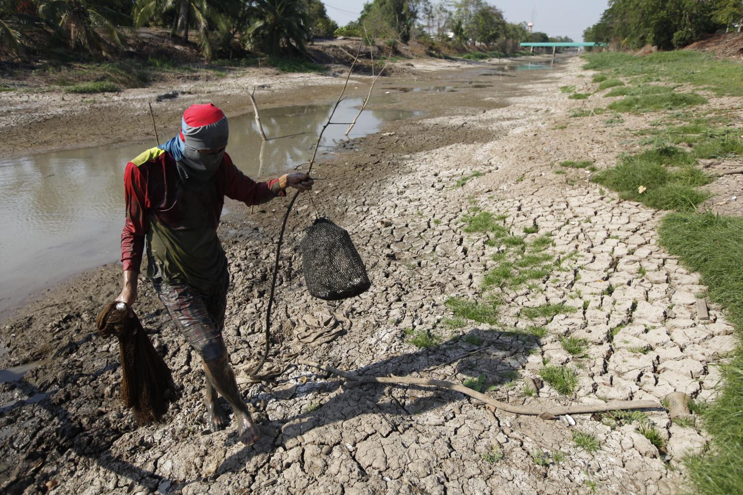 Govt set to help drought-hit farmers