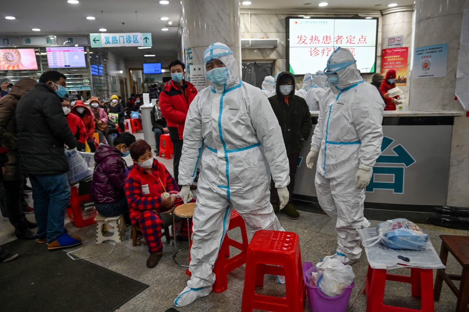 Wuhan evacuation plan eyed