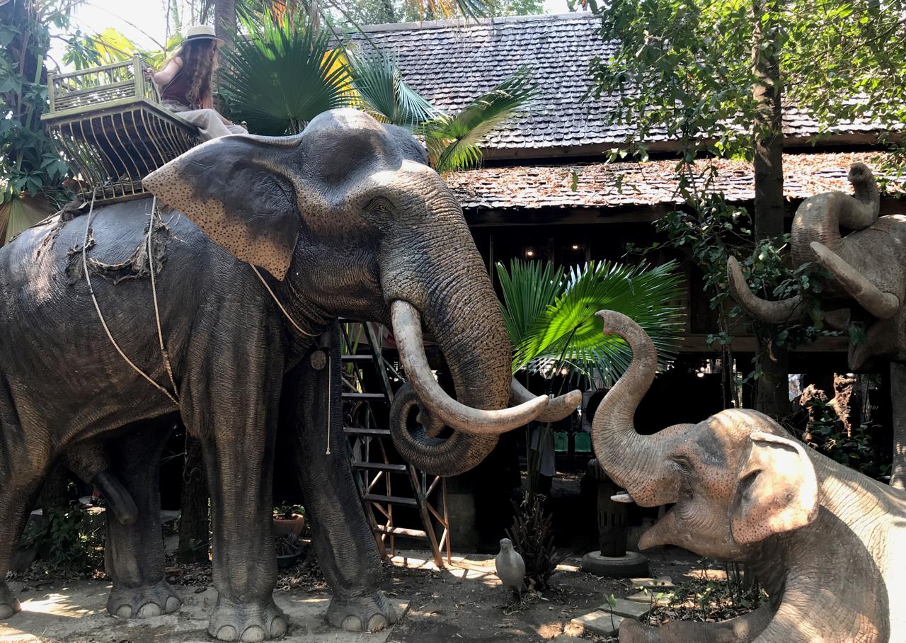 The large sculpture of a mammoth stands handsomely in the front yard of Baan Jang Nak, a wood carving centre in San Kamphaeng district. The sculpture is the work of Phet Viriya, a veteran Lanna artist. He carved his first elephant almost 50 years ago. His work is unique because he can make the animals look real which includes posture, wrinkles of skin and the eyes. He opens his house as a workplace for craftsmen, a learning centre for those who want to know how to carve wooden elephants as well as a museum where he displays his own works and collections in three exhibition rooms. Baan Jang Nak is open for a public visit without an entrance fee.
