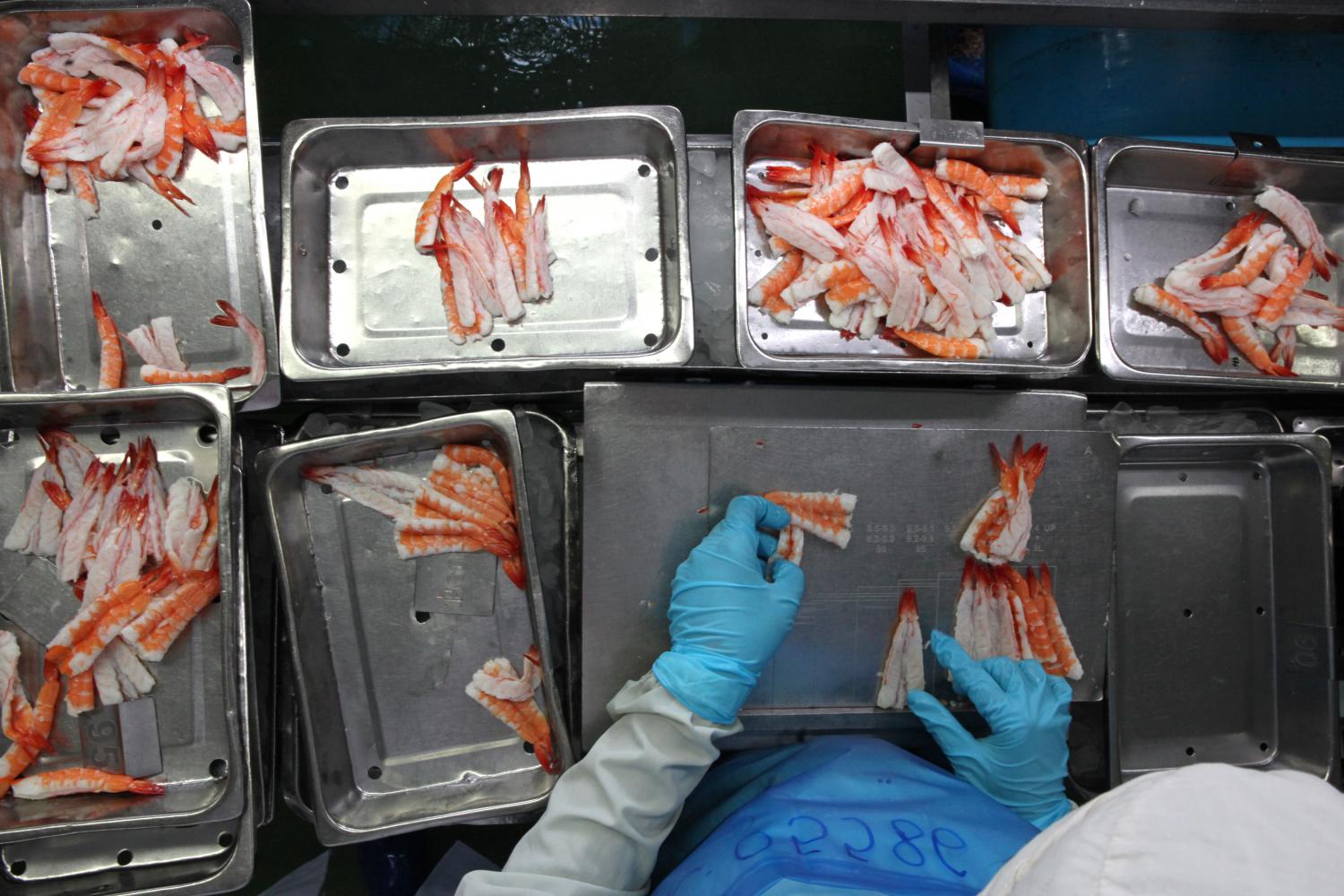 A Thai Union worker processes shrimp at the Songkhla plant. 2019 net profit rose by 0.5% year-on-year. Wichan Charoenkiatpakul