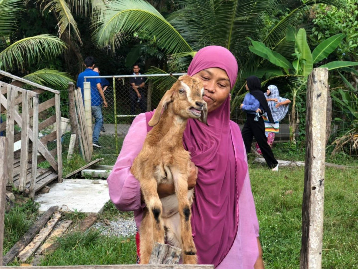 Bangkok Post Farmers ditch rubber for goats