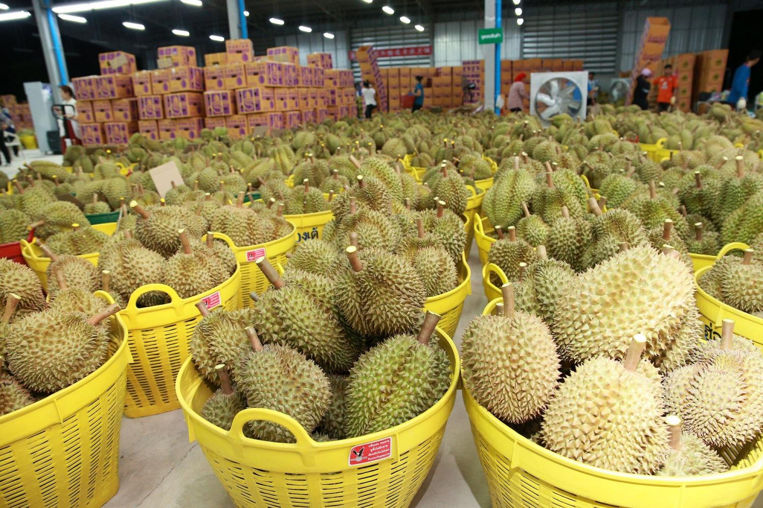 Alibaba showcases local fruit